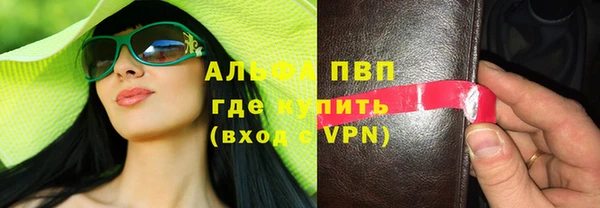 стафф Новозыбков