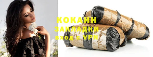 стафф Новозыбков
