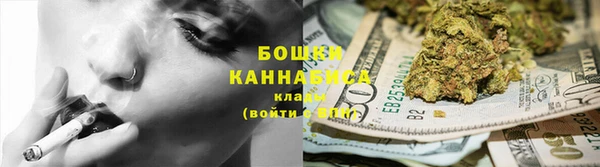 стафф Новозыбков