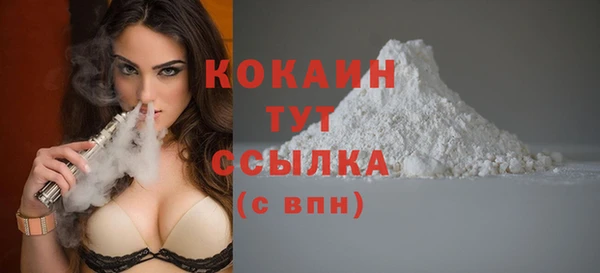 стафф Новозыбков