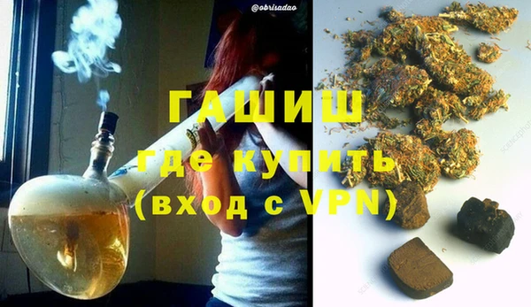 стафф Новозыбков