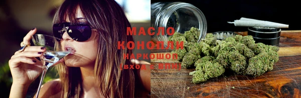 стафф Новозыбков