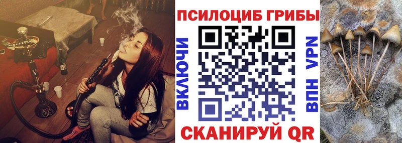 Псилоцибиновые грибы мухоморы  darknet состав  Порхов 